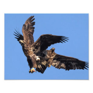 Eagle Games Fotodruck