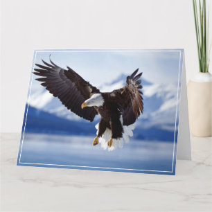 Eagle Grußkarte Karte