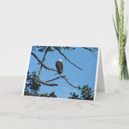 Eagle Grußkarte Karte