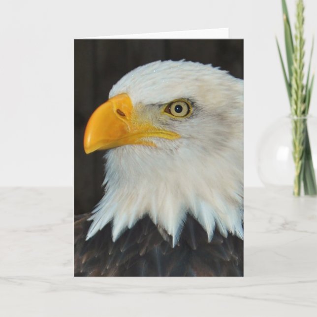 Eagle Head Greeting Card Karte (Vorderseite)