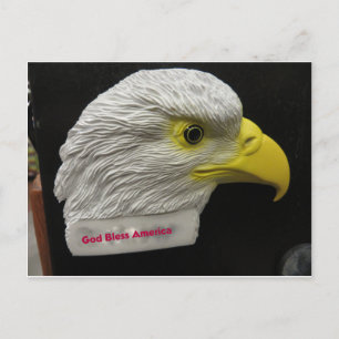 Eagle Head Postkarte