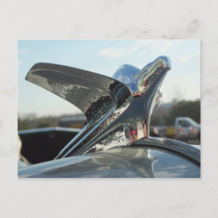 Eagle Hood Ornament Postkarte