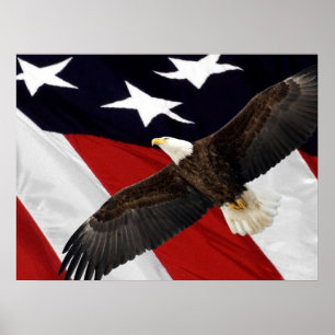 Eagle im Flug über amerikanischer Flagge Poster
