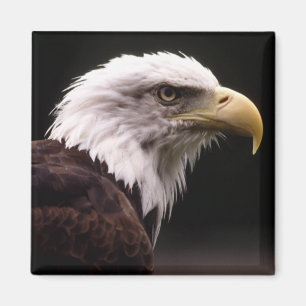 Eagle-Kopf-Studie Magnet