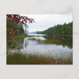 Eagle Lake und rote Ahornblätter II Postkarte