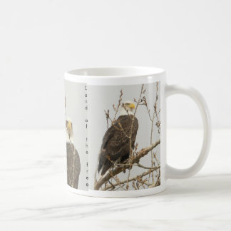 Eagle-Land vom freien Tasse