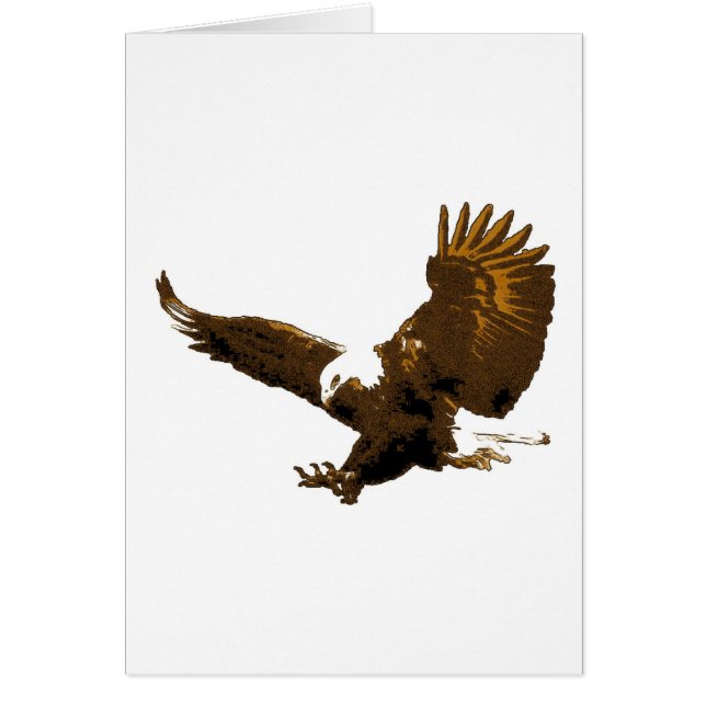 Eagle Landing (Vorne)