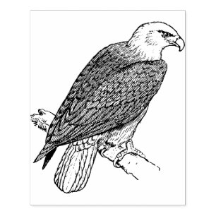 Eagle Large Card Maaking Rubber Briefmarke Gummistempel