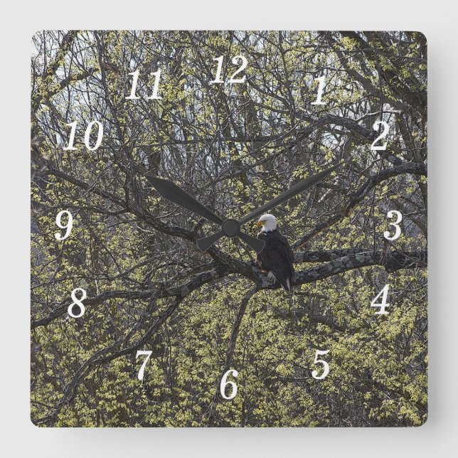 Eagle Lookout Painterly Wall Clock Quadratische Wanduhr (Vorderseite)