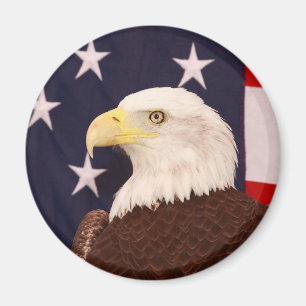 Eagle Magnet