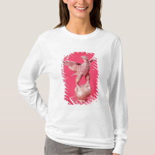 Eagle mit verbreiteten Flügeln auf einem Ball T-Shirt