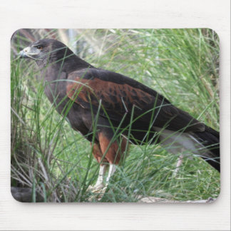 Eagle Mousepad