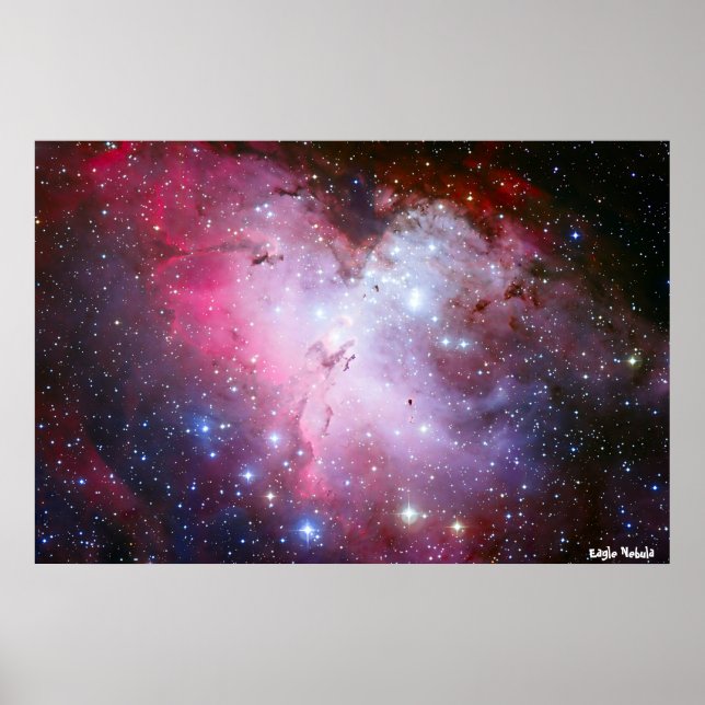 Eagle Nubla Poster (Vorne)