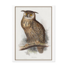 Eagle Owl Illustration von Edward Lear