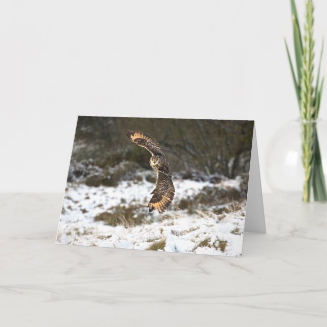 Eagle Owl in Flight Karte (Vorderseite)