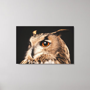 Eagle Owl Leinwanddruck