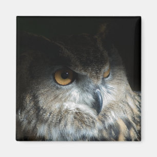 Eagle Owl Magnet