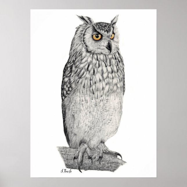 Eagle Owl Pencil Zeichnend Poster (Vorne)