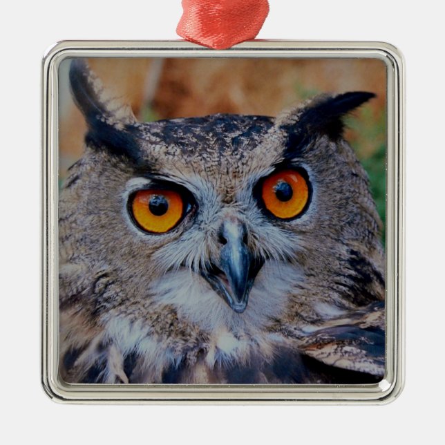 Eagle Owl Silbernes Ornament (Vorne)
