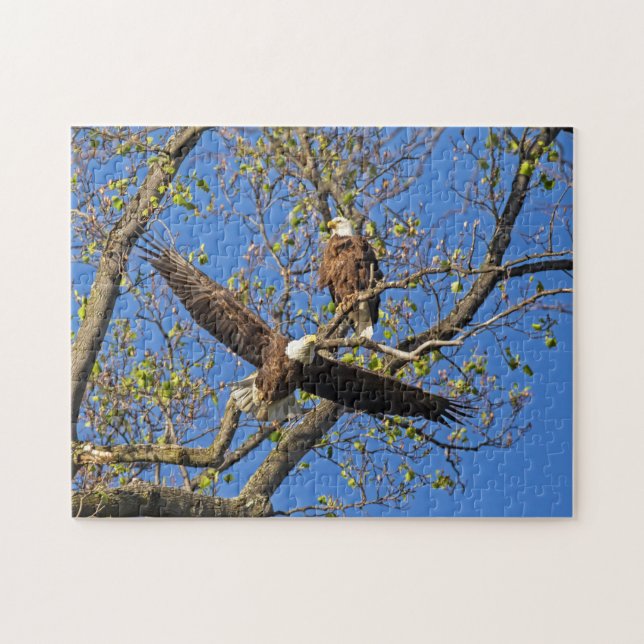 Eagle Pair Puzzle (Horizontal)