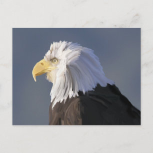 Eagle Postcard Postkarte