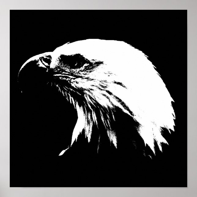 Eagle Poster (Vorne)