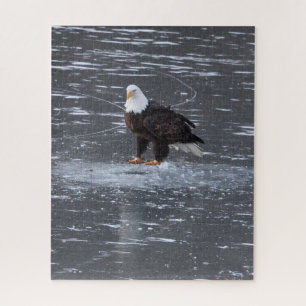 Eagle Puzzle, gefroren Puzzle