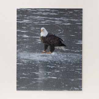 Eagle Puzzle, gefroren Puzzle
