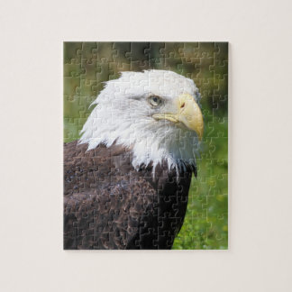 Eagle-Puzzlespiel Puzzle
