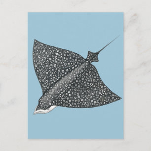Eagle Ray Postkarte