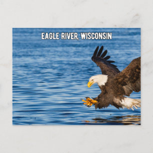 Eagle River Flying Eagle Wisconsin Postcard Postkarte