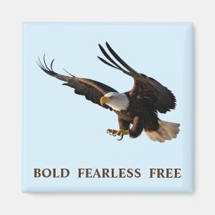 Eagle schlummernd magnet