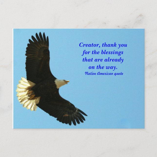 Eagle Segen Postkarte (Vorderseite)