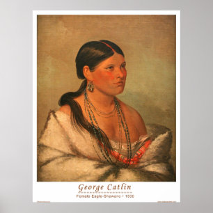 Eagle-Shawano Poster