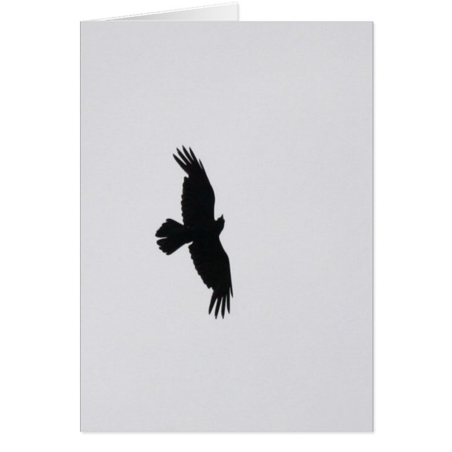 Eagle steigen an (Vorne)