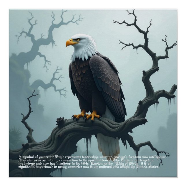 Eagle Symbolismus Poster (Vorderseite)