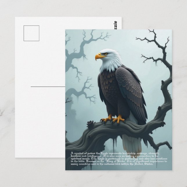 Eagle Symbolismus Postkarte (Vorne/Hinten)