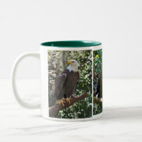 Eagle Tasse