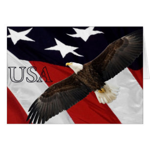 Eagle und die amerikanische Flagge USA