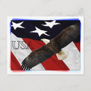 Eagle und die amerikanische Flagge USA Postkarte