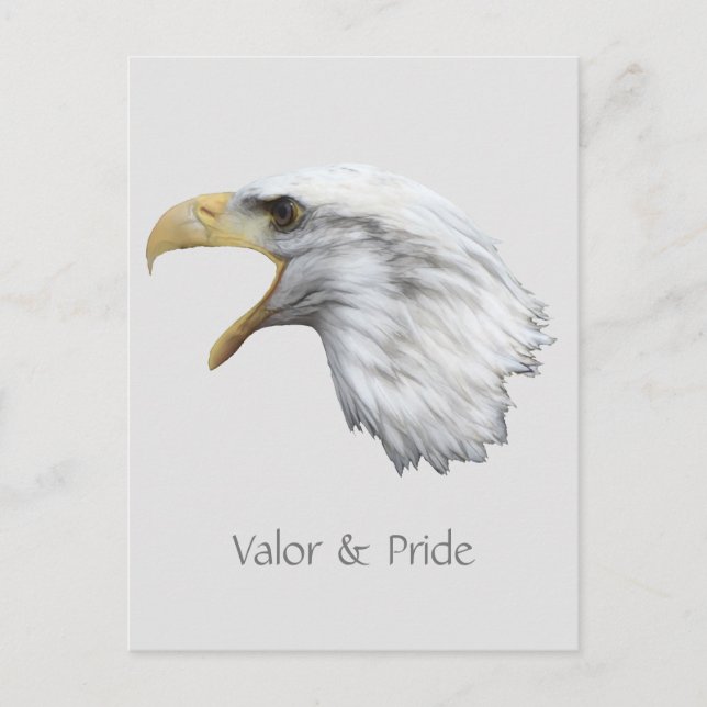 Eagle Valor & Pride individuell anpassbar Postkarte (Vorderseite)