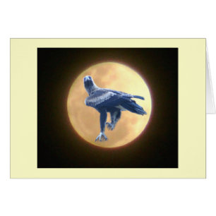 Eagle-wild lebende Tiere