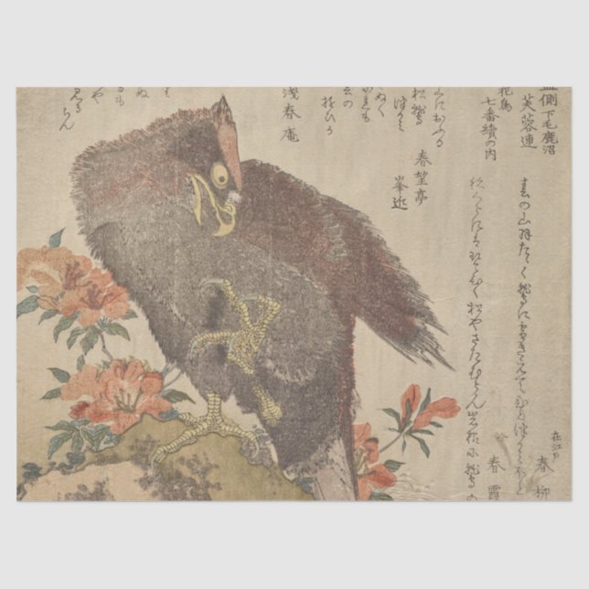 Eagle With a Uptured Claw Azalea Bush von Shunman Seidenpapier (Vorderseite)