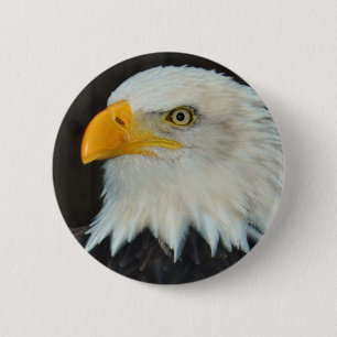 Eaglehauptknopf Button