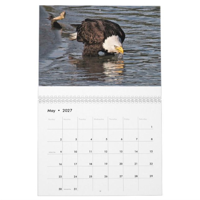 Eagles durch Tamara-Kalender Kalender (Mai 2027)