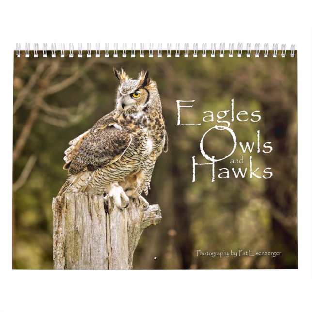 Eagles-, Eulen-und Falke-Tier-Kalender Kalender (Titelbild)