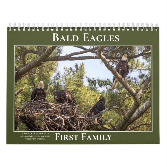 Eagles First Family Kalender (Titelbild)