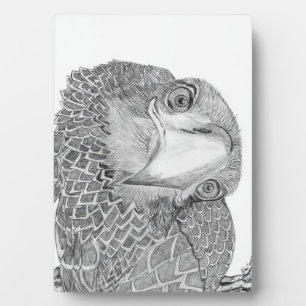 EAGLES HARRIET + M ZUHAUSE FAMILIENBAUM E9 SOARS FOTOPLATTE