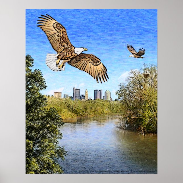 Eagles Scioto Fluss Columbus Ohio Print Poster (Vorne)