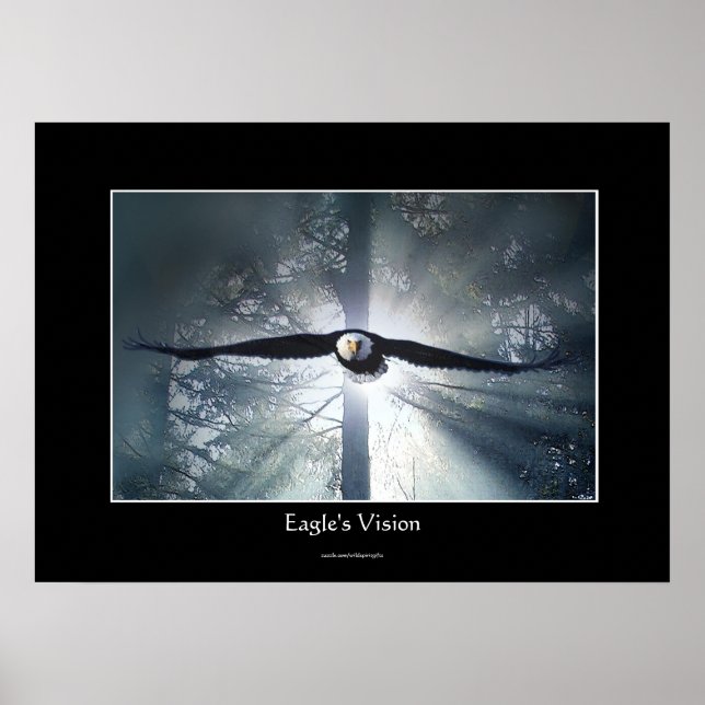 Eagle's Vision Misty Forest Fantasy Art Poster (Vorne)